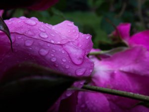 DSCF6824-2