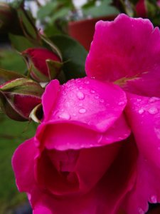 DSCF6826-2