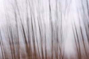 IMG_0237