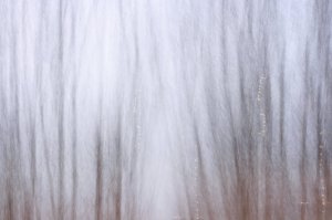 IMG_0254