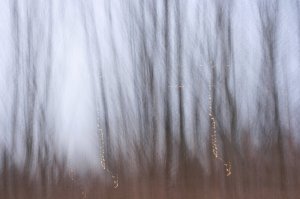 IMG_0255