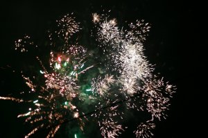 IMG_0261