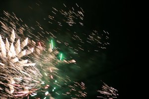 IMG_0263