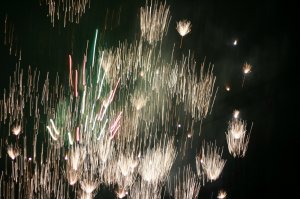 IMG_0264