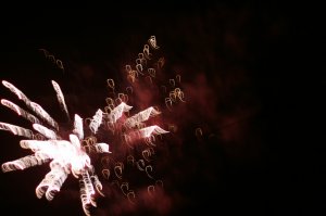 IMG_0268
