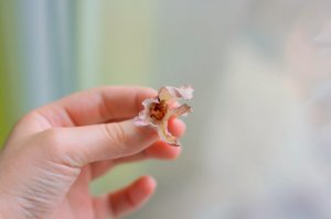 IMG_0381