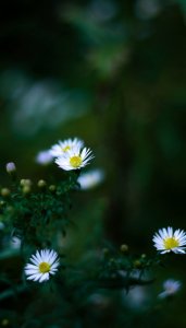 IMG_9544