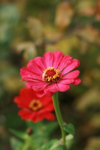 IMG_9651