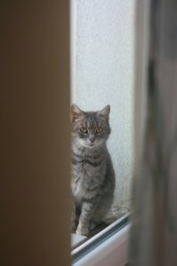 IMG_9995