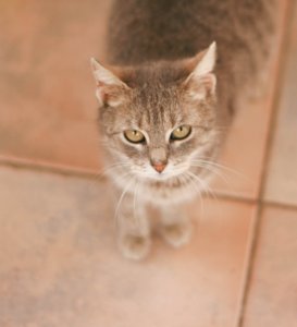 IMG_0419
