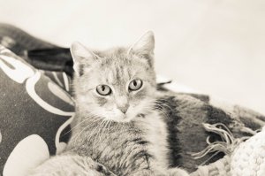 IMG_0475