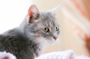 IMG_0477