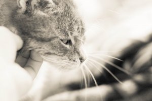 IMG_0478
