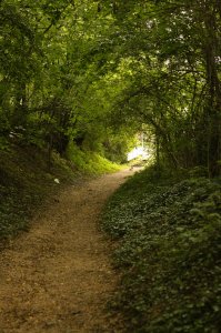 IMG_1507