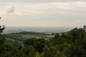 IMG_1588