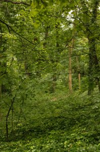 IMG_1590